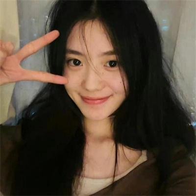 救森动物联盟